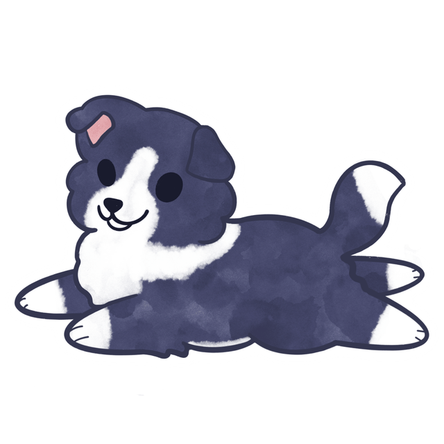 Border Collie