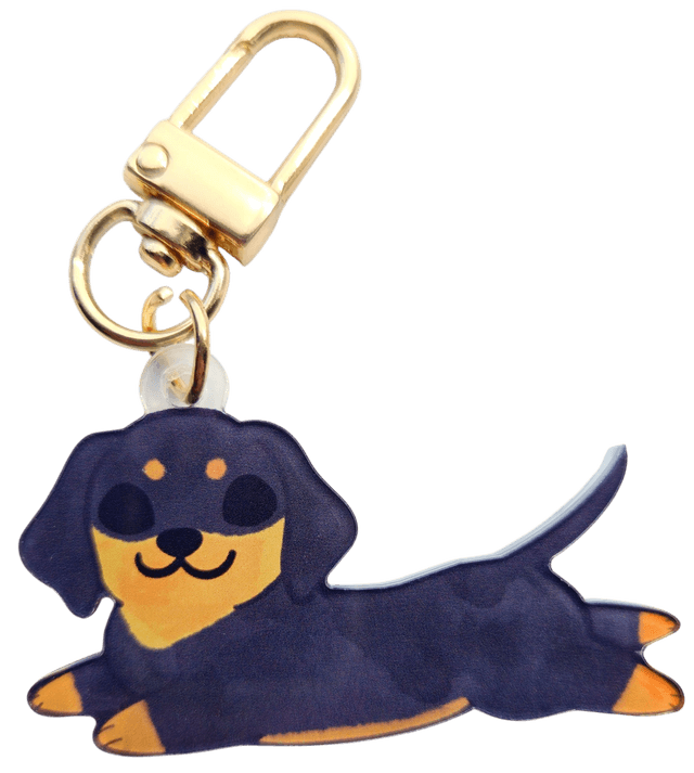 Dachshund