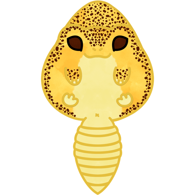 Gecko