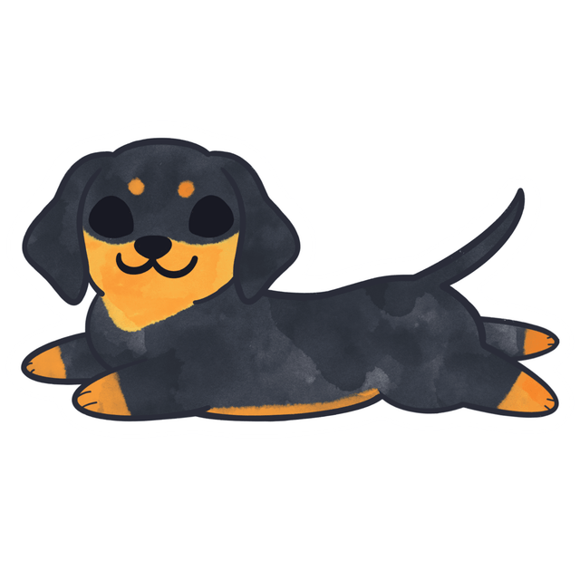 Dachshund