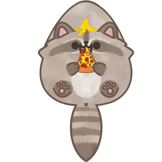 Raccoon