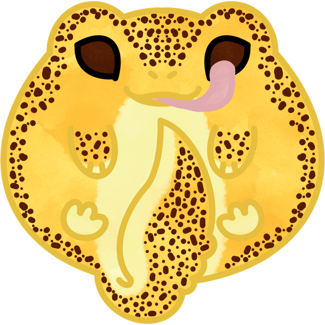 Gecko