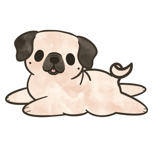 Pug 