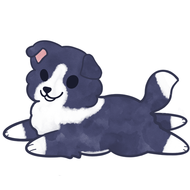 Border Collie