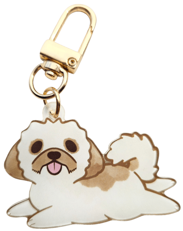 Shih Tzu