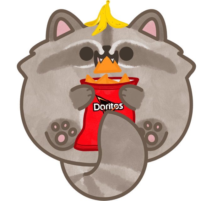 Raccoon