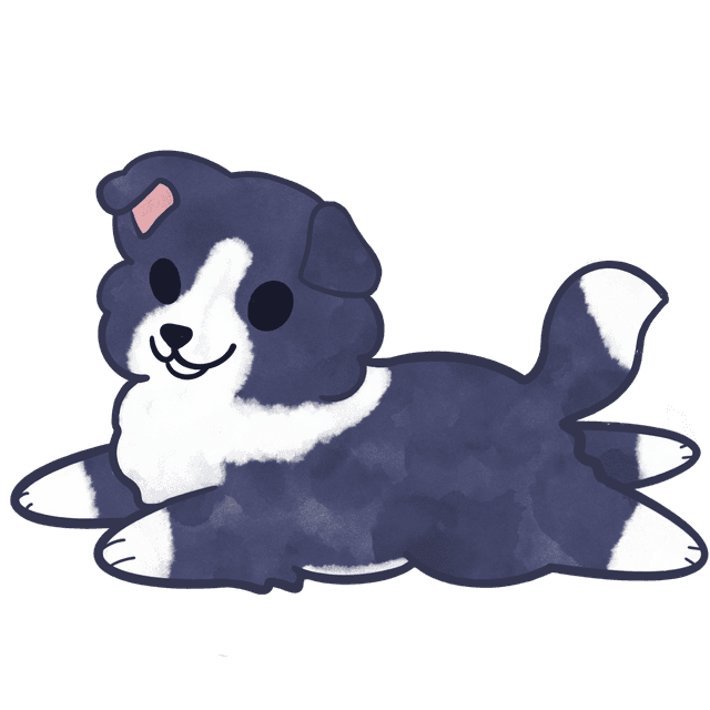 Border Collie