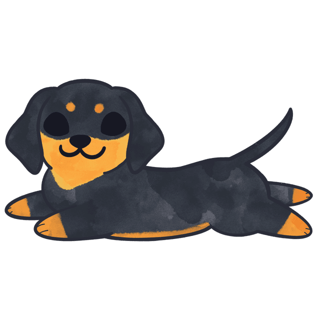Dachshund